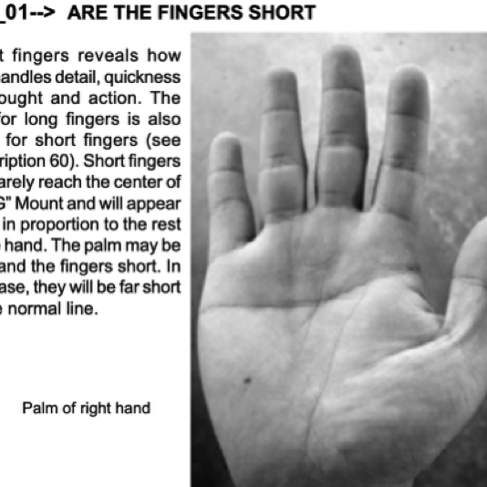 065_01 short fingers